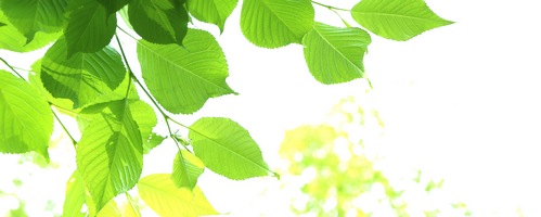 FIRSTSELECT NMN(ファーストセレクトNMN)販売サイトへ